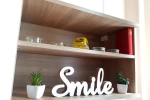 Apartment in city center BIG 8