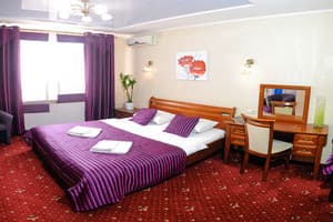 Квартира Deluxe. Апартаменты двухместный Delux 4 1