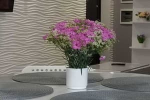 Luxury apartment Belvedere in the city center 11