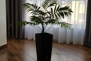 Modern apartments Belvedere city center 5