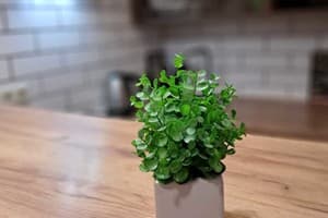 Квартира New studio apartments in center. Апартаменты двухместный №39 6