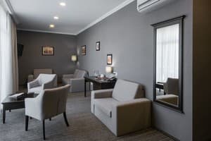 Отель Optima Collection Парк Отель Ивано-Франковсk. Люкс двухместный  1
