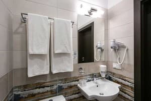 Отель Optima Collection Парк Отель Ивано-Франковсk. Стандарт двухместный Гранд 3