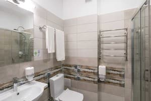 Отель Optima Collection Парк Отель Ивано-Франковсk. Стандарт двухместный Гранд 4