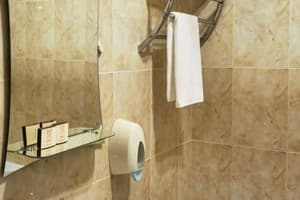 Отель Optima Collection Парк Отель Ивано-Франковсk. Стандарт двухместный double 2